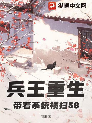 兵王系统类完本