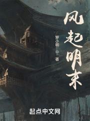 风起明末 作者罗小明