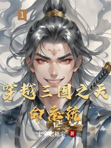 三国之天命少主