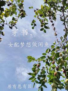 穿书女配她只想闲鱼