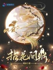 拈花问鼎书海阁