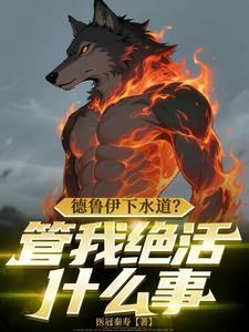 德鲁伊的攻略