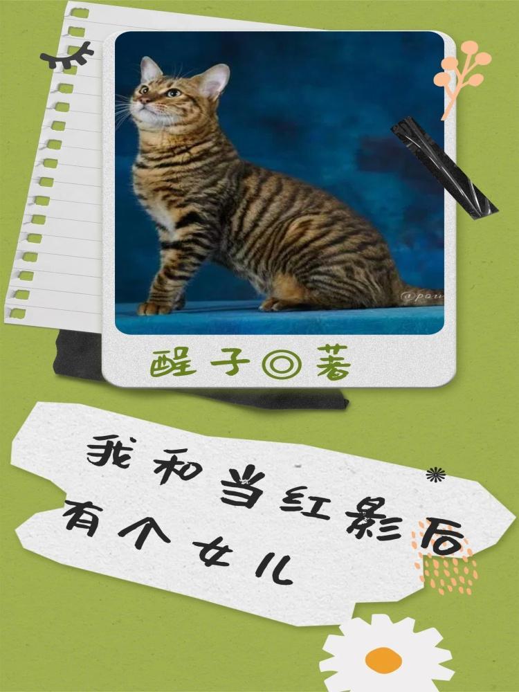 当我和爱豆隐婚后我红了