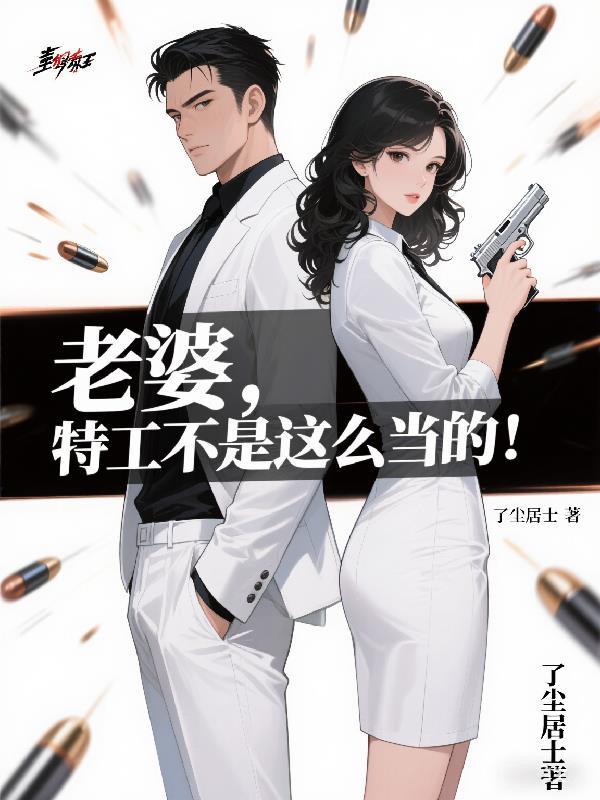 老婆是特工的电视剧