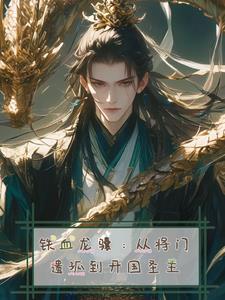 铁血龙兵讲的什么