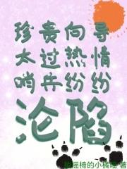向导和哨兵