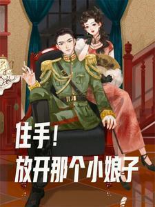 有没有好看的在民国当军阀的