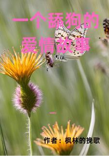 舔狗感情
