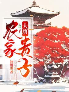 农民穿越到大唐