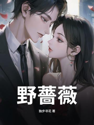 野蔷薇电视剧