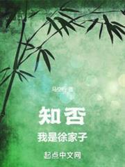 知否我是徐家子起点中文网