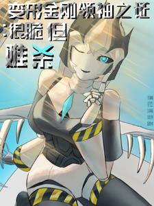变形金刚之领袖之证合集