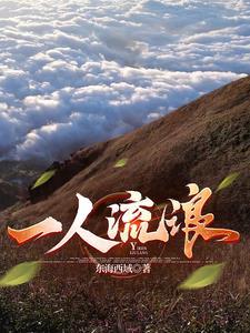 一个人全国流浪