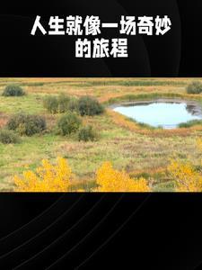 言情的故事接龙