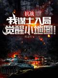 抗战我谋士入局觉醒小地图TXT