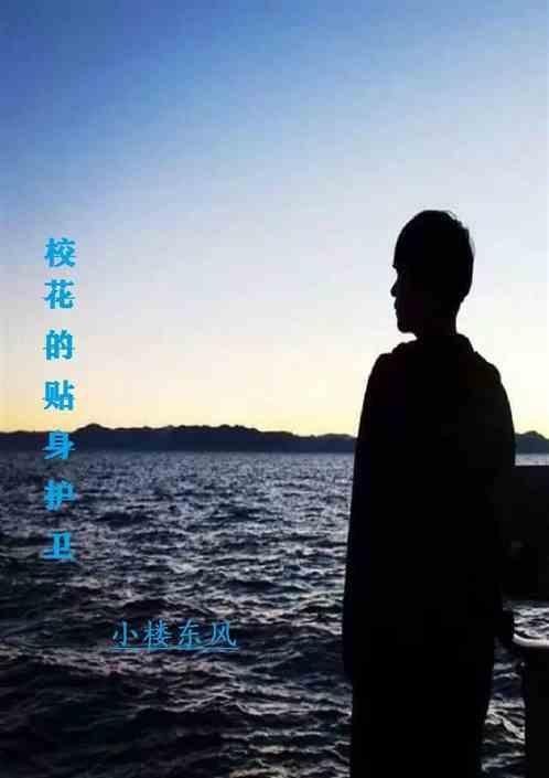 校花的贴身护卫老施