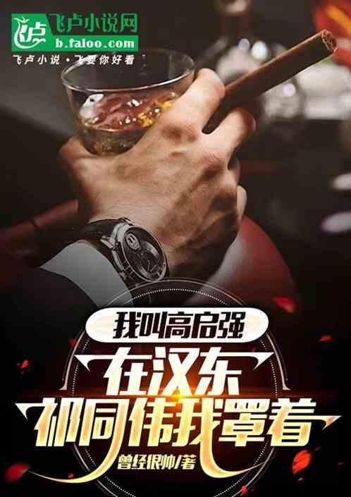 高启明是谁