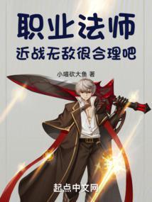 职业法师5