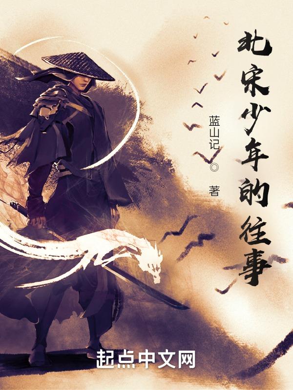 宋代少年志电视剧