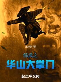 武侠之华山剑宗