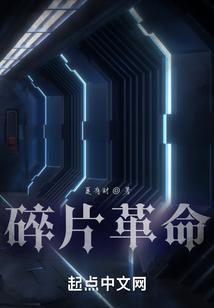 碎片简介