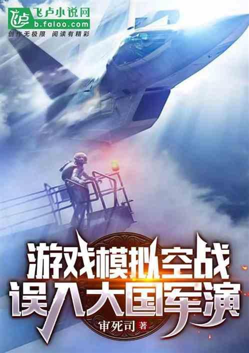 模拟空战中文版