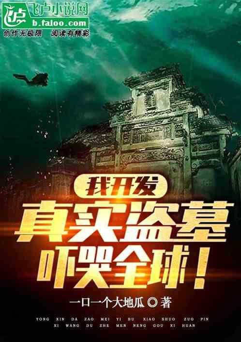 盗墓我真是
