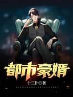 都市豪婿免费全文阅读
