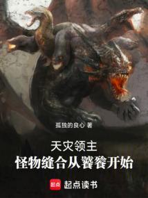 灾祸领主