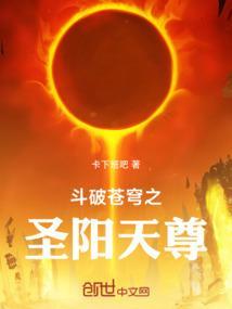 斗破苍穹之大主宰之苍穹榜之圣灵纪