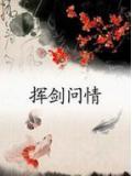 挥剑问情神祝搭配
