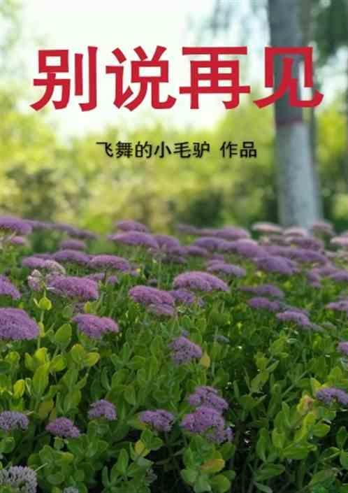 别说再见1997在线观看