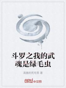 斗罗之我的武魂是魂环无错