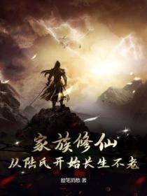 陆氏家族修仙录顶点