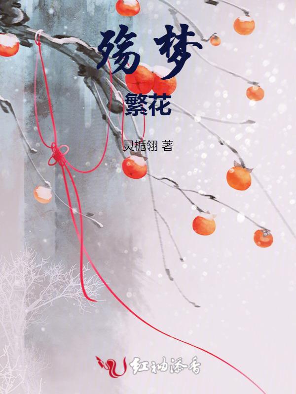 梦殇歌词