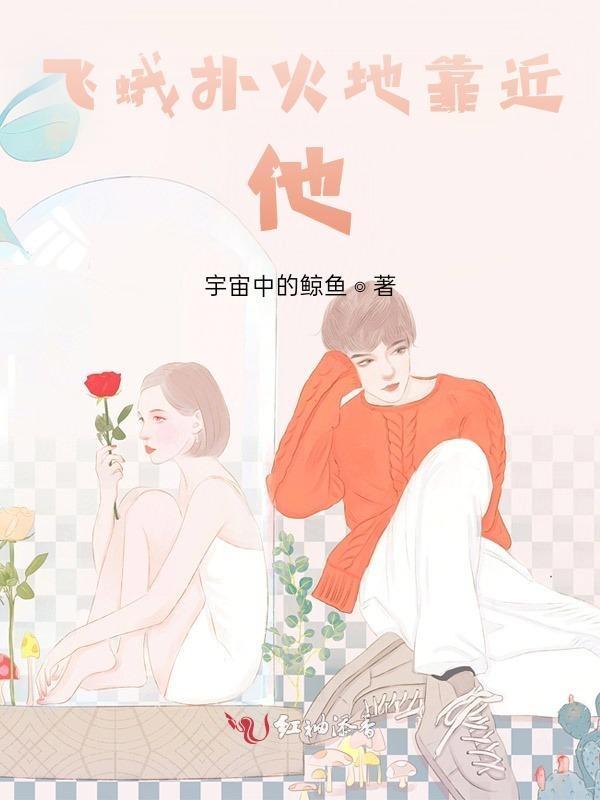 飞蛾扑火接下句