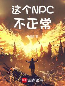 这个npc不一般