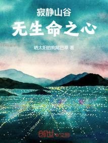 静寂的山谷