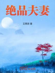 极品绝配的