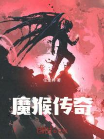 猴传奇 接口卡