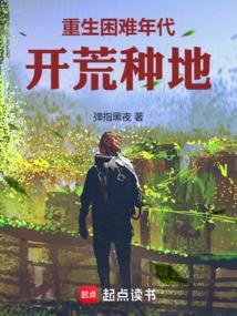 重生开荒年代空间文