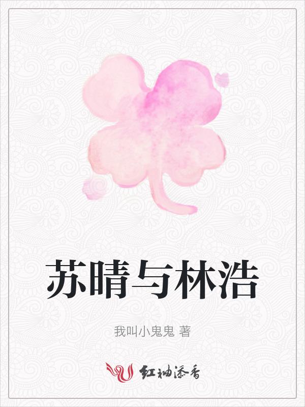 主人公苏晴晴