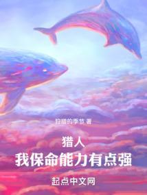 全职猎人的能力体系