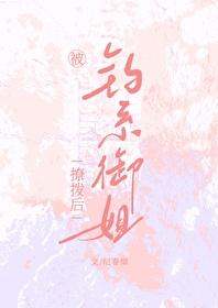 钓系御姐什么意思