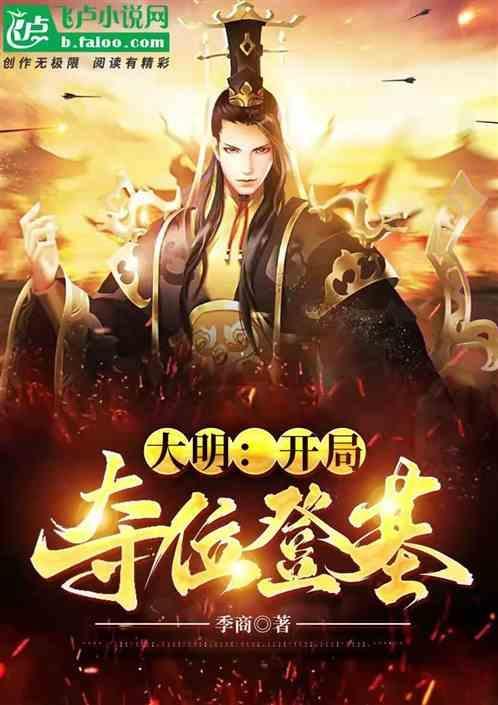大明开局就登基起点