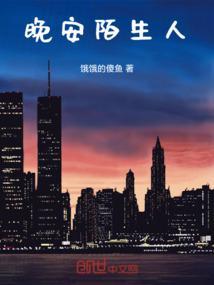 晚安陌生人计划