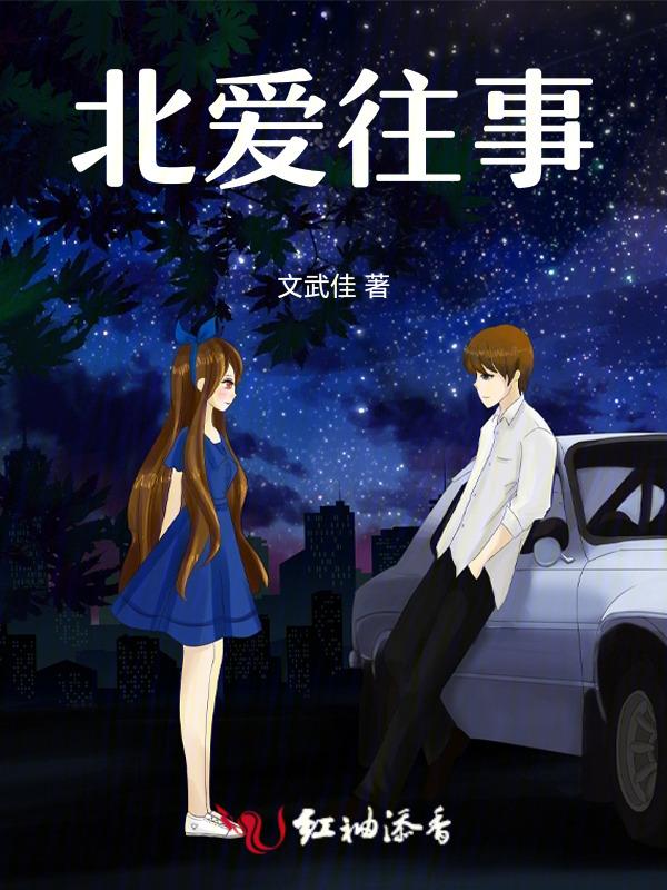 北爱电视剧导演
