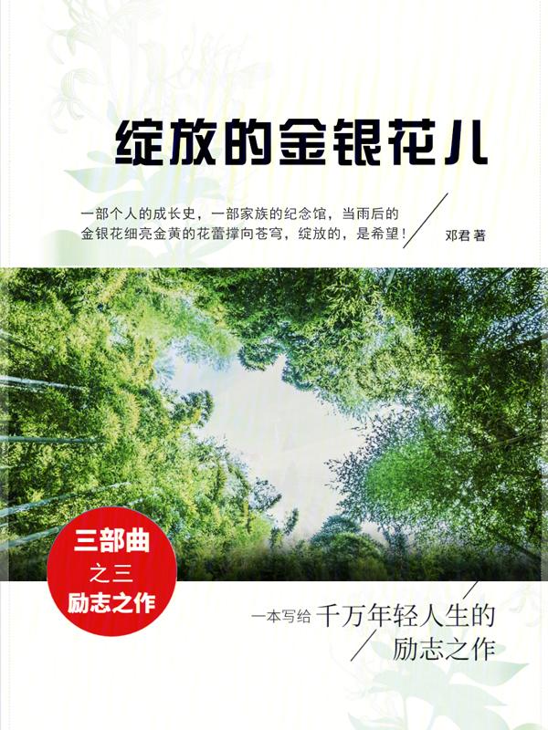 绽放的花朵视频