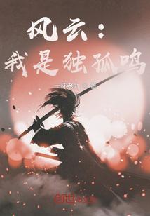 风云中独孤梦