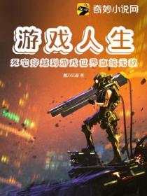 游戏人生4